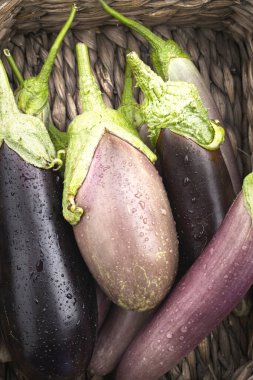 Hasat sepetinin içinde duran çeşitli yeni hasat edilmiş patlıcanların yakın plan natürmort fotoğrafı..