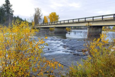 Kuzey Idaho 'da sonbaharda hızla akan rahip nehrinin üzerinden bir köprü geçer..