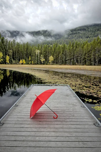 가을에 아이다호 북쪽의 싱클레어 Sinclair Lake 선창에서 휴식하는 우산의 — 스톡 사진