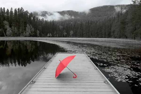 아이다호 북부의 신클레어 Sinclair Lake 선창에서 휴식하는 색상의 우산의 검은색과 — 스톡 사진