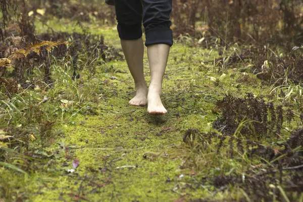Close up on the feet and legs walking barefoot on a forest trail getting the benefits of grounding also called grounding.