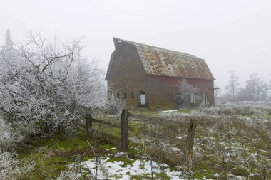 Kuzey Idaho 'da sisli bir kış günü kısmen karla kaplı bir arazide eski bir ahır duruyor..