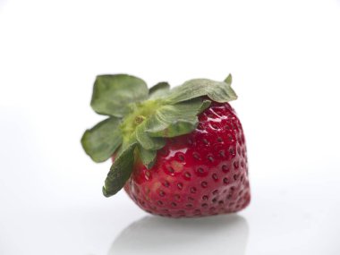 Beyaz bir arka planda, olgun bir serserinin yakın plan fotoğrafı..