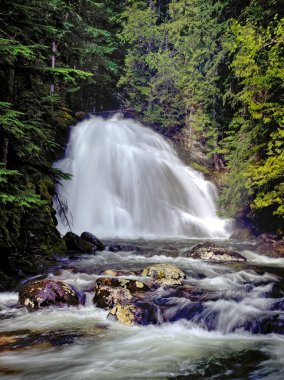 Bonners Ferry, Idaho yakınlarındaki Snow Creek Şelalesi manzaralı ve kükreyen.