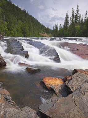 Montana 'nın kuzeybatısındaki Yaak Şelalesi' nin güçlü heyecanı bir bahar günü.
