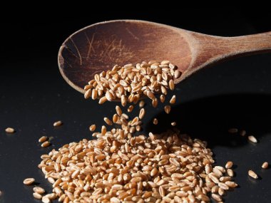 Küçük sert kırmızı buğday meyvelerinin kaşıktan masaya düşüşünün konsept fotoğrafı..