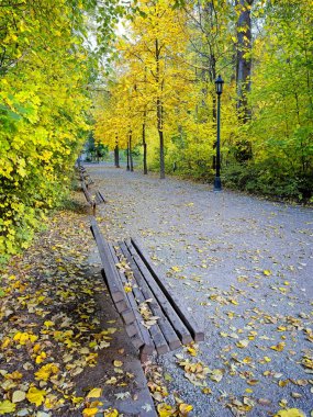 Park bankları, sonbaharda Leavenworth, Washington 'daki kasaba parkında boş bir yürüyüş yolu çiziyor..