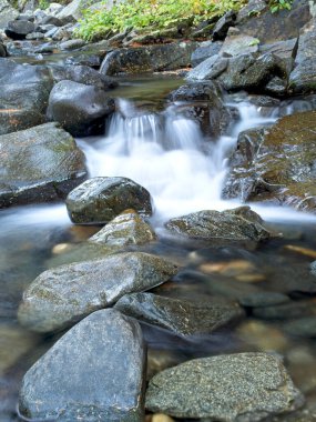 Idaho 'nun kuzeyinde, Lightning Creek' in çağlayan suları..