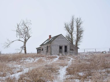 Kardaki izler, kışın doğu Washington 'da çorak ağaçlarla çevrili terk edilmiş eski bir eve gidiyor..