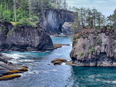 Washington eyaletinin kuzeybatısındaki Cape Pohpohlamanın manzaralı ve engebeli kıyı şeridi..