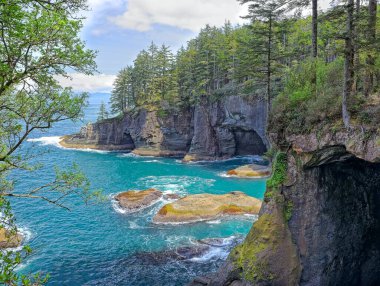 Washington eyaletinin kuzeybatısındaki Cape Pohpohlamanın manzaralı ve engebeli kıyı şeridi..