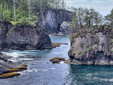 Washington eyaletinin kuzeybatısındaki Cape Pohpohlamanın manzaralı ve engebeli kıyı şeridi..