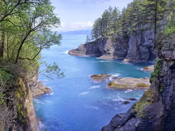 Washington eyaletinin kuzeybatısındaki Cape Pohpohlamanın manzaralı ve engebeli kıyı şeridi..