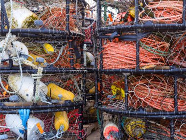 La Push, Washington 'da yengeç yakalama kabı ve ekipmanlarının yakın plan fotoğrafı..