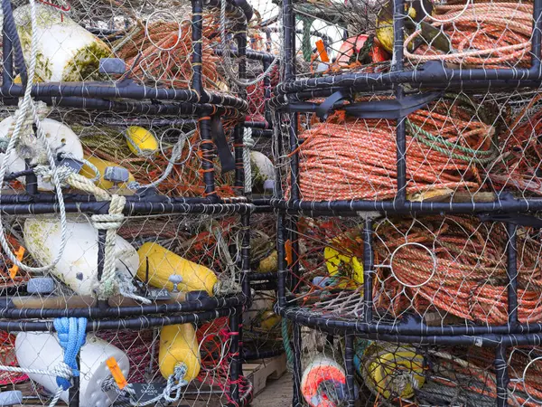 La Push, Washington 'da yengeç yakalama kabı ve ekipmanlarının yakın plan fotoğrafı..