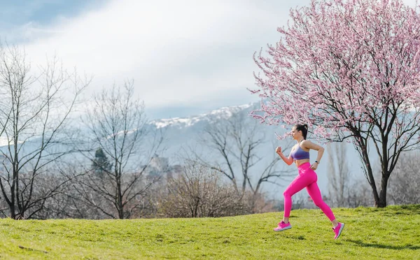 Kobieta Robi Sport Działa Wzgórzu Między Kwitnących Wiśni — Zdjęcie stockowe
