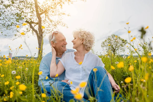上了年纪的夫妻在草地上快乐的谈恋爱 — 图库照片