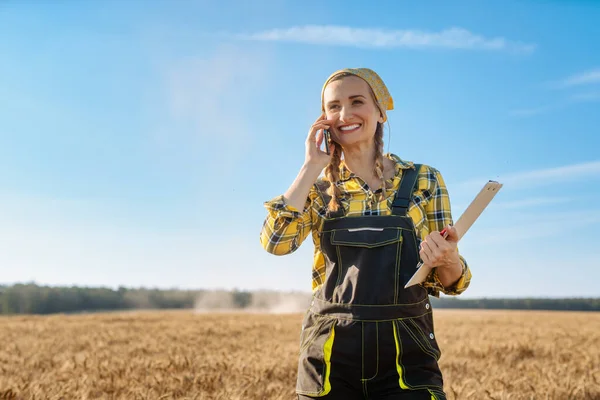 Αγρότης Χρησιμοποιεί Τηλέφωνό Της Ένα Χωράφι Σιτηρών Κατά Συγκομιδή — Φωτογραφία Αρχείου