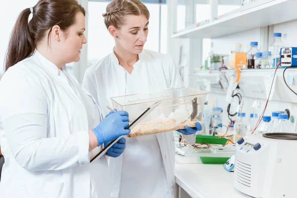 Young caucasian female scientists observing rat in laboratory and writing results in notepad