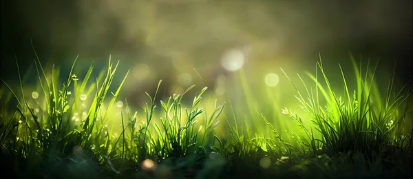 Kis Zöld Tavasz Természetes Háttér Közelkép — Stock Fotó