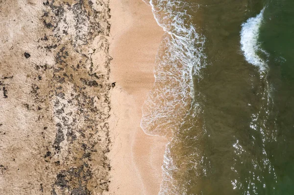 Widok Lotu Ptaka Surfowania Piaszczystej Plaży Wodorostami Bezpośrednio Nad Widokiem Zdjęcia Stockowe bez tantiem