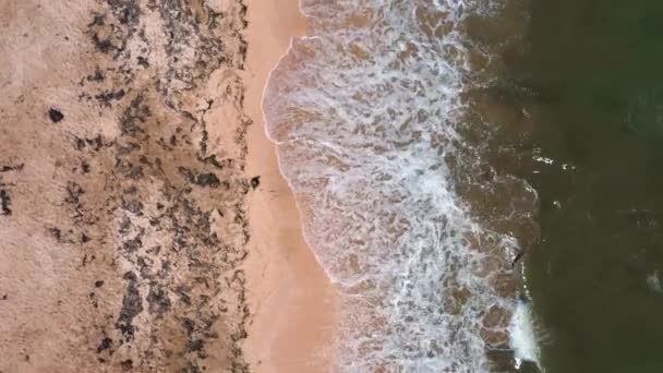 하늘을 날면서 해초와 해변에서 파도타기를 우크라 — 비디오