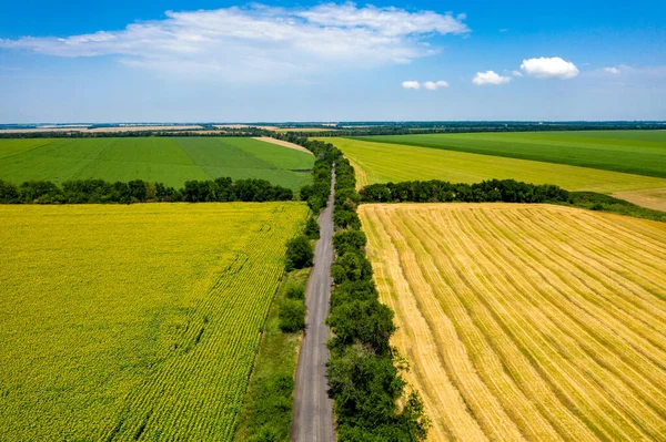 Luftaufnahme Einer Straße Zwischen Einem Weizenfeld Und Einem Feld Blühender — Stockfoto