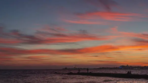 Заливе Пальма Закат Придает Красноватый Оттенок Море Встречает Пристань Силуэтом — стоковое фото
