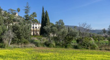 Mallorca 'nın göbeğinde, görkemli bir malikane, yemyeşil bahçeler ve açık bir gök kubbenin altında, yuvarlanan tepelerin zemininde, sarı yaban çiçeklerinden oluşan canlı bir battaniye ile kaplıdır..