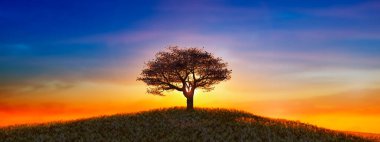 Bir ağacın ıssız silueti bir tepenin üstünde duruyor, turuncu ve mavi renklerle harmanlanmış canlı bir günbatımı gökyüzünün ruhani parıltısıyla yıkanmış.