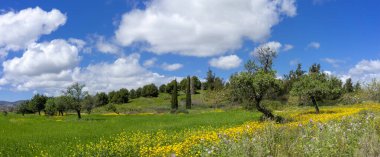 Huzurlu bir manzara, sarı kır çiçekleriyle süslenmiş bir tarla, yemyeşil ve dağınık ağaçlar, kabarık bulutlarla kaplı bir zemin..