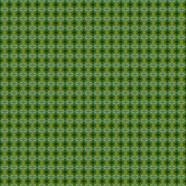 Abstract pattern of the green flora