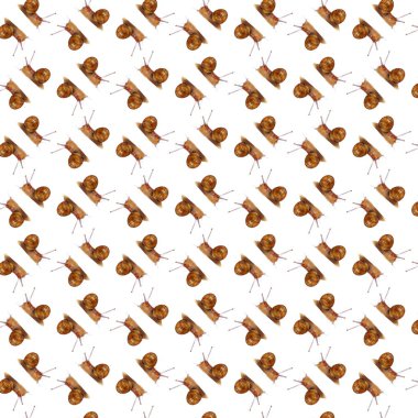Abstract pattern of the snails