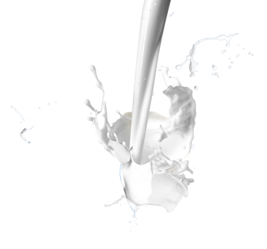 beyaz süt sıçrama portre