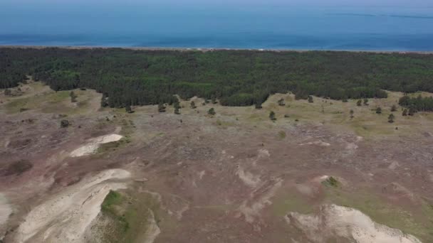 Nationalpark Kurische Nehrung Tote Dünen Litauen Luftaufnahme — Stockvideo