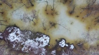 Winter end water flood in swampy forest, aerial view