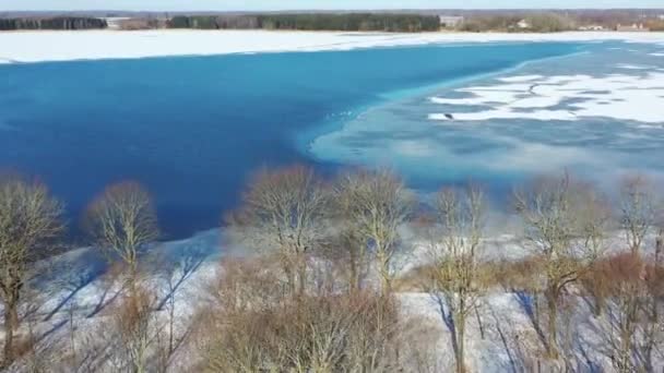 Birds Spring Lake Melting Ice Aerial View — Stok video