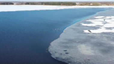 Birds in spring lake and melting ice fragment, aerial view