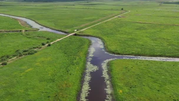 立陶宛Nemunas三角洲的运河 护城河和道路 空中景观 — 图库视频影像