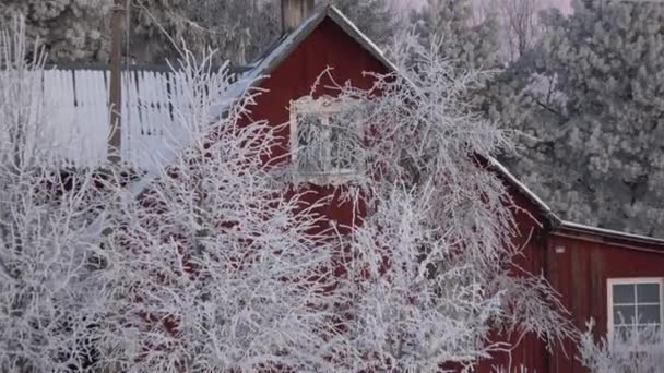 Zimní Čas Červená Stará Dřevěná Farma Dům Mrazivé Stromy — Stock video
