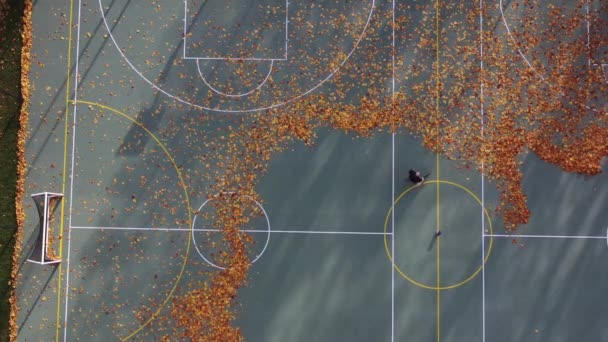 秋に葉ブロワークリーニングスポーツフィールドを持つ男 空中ビュー — ストック動画