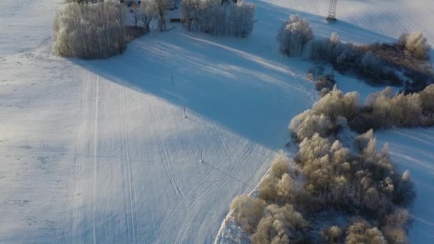 Frosty Groves Old Homestead Winter Aerial View — Vídeos de Stock