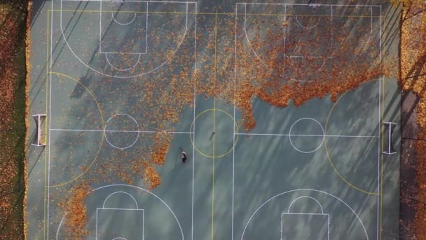Беспилотник Спускается Над Спортивным Полем Покрывая Осенью Листья Вид Воздуха — стоковое видео