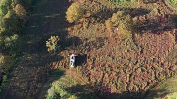 Gabungan Pemanen Pemotongan Bidang Buckwheat Taman Alam Pandangan Udara — Stok Video