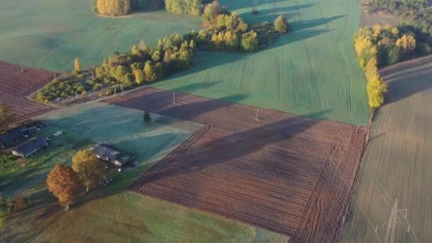 Krásná Podzimní Krajina Poli Háji Letecký Výhled — Stock video