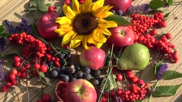 Hintergrund Der Ernte Rotierende Früchte Kräuter Und Blumen — Stockvideo