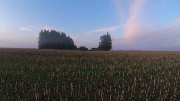 采收的菜籽田上方的晨雾和云彩 时间流逝 — 图库视频影像