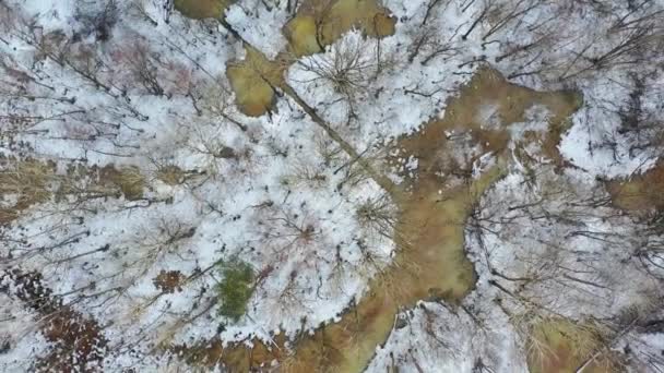 早春の洪水と雪の森 回転するドローン 空中からの眺め — ストック動画