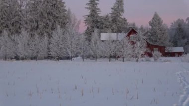 Soğuk ağaçlar ve kışın eski kırmızı çiftlik.