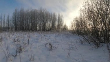 Güzel kış ortası bulutları ve koruluğun üzerindeki güneş, zaman akıp gidiyor.